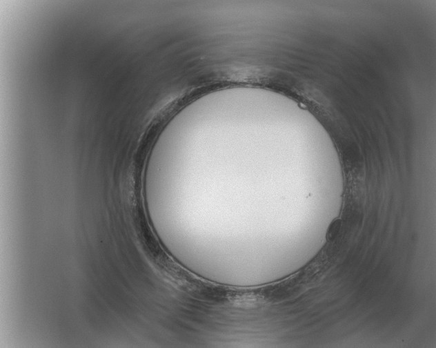 X0000063510587200602032045