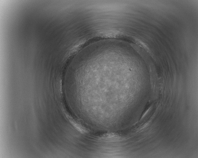 X0000063510589200602032045