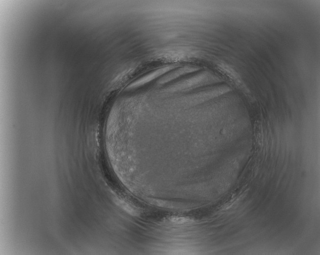 X0000063510590200602032045