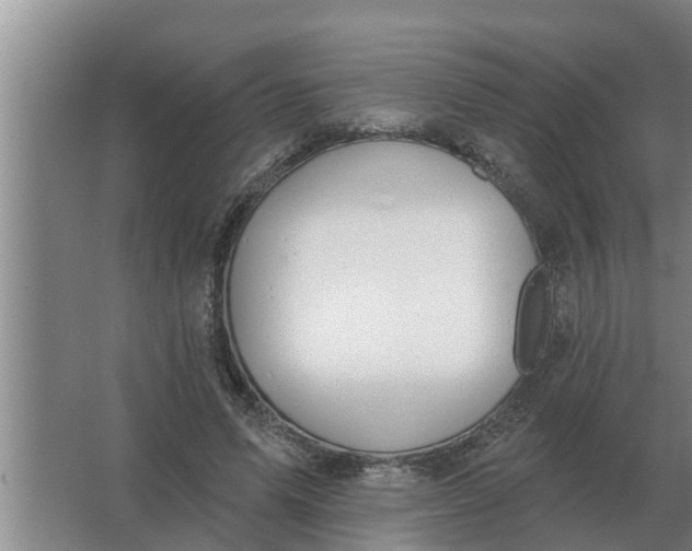 X0000063510591200602032045