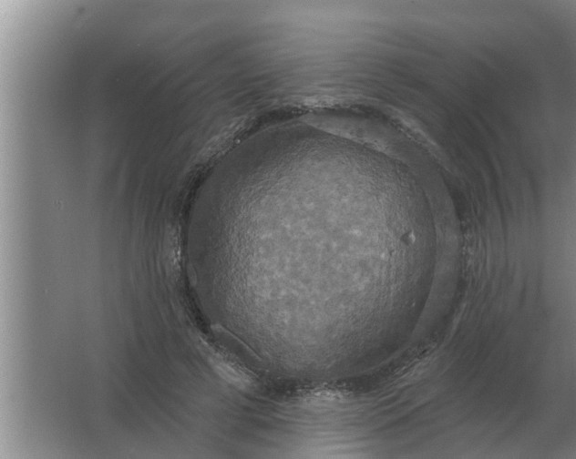 X0000063510593200602032045