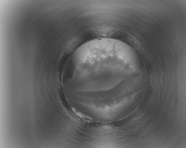 X0000063510594200602032045