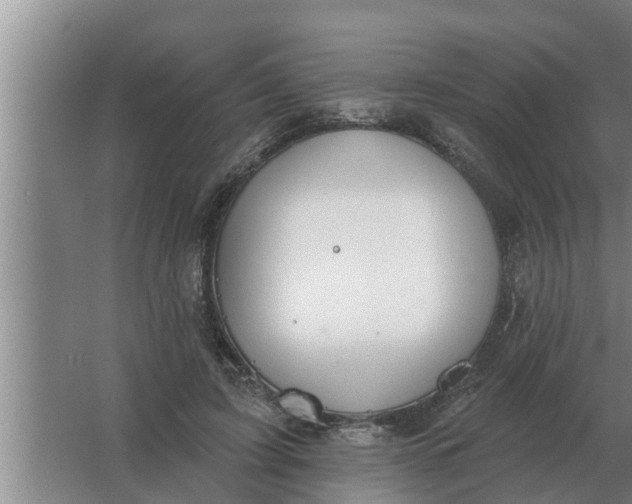 X0000063510595200602032045