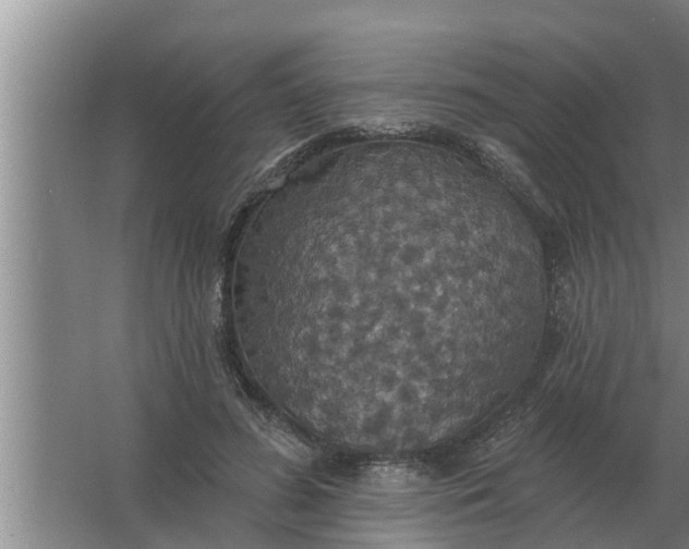 X0000063510596200602032045