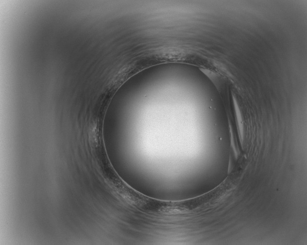 X0000063510597200602032045