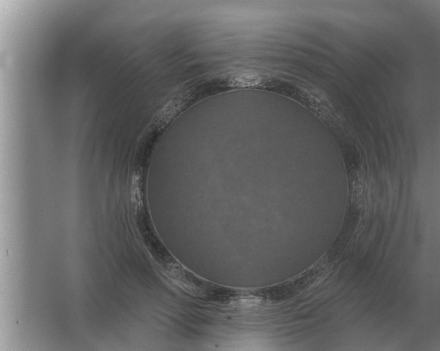 X0000063510598200602032045