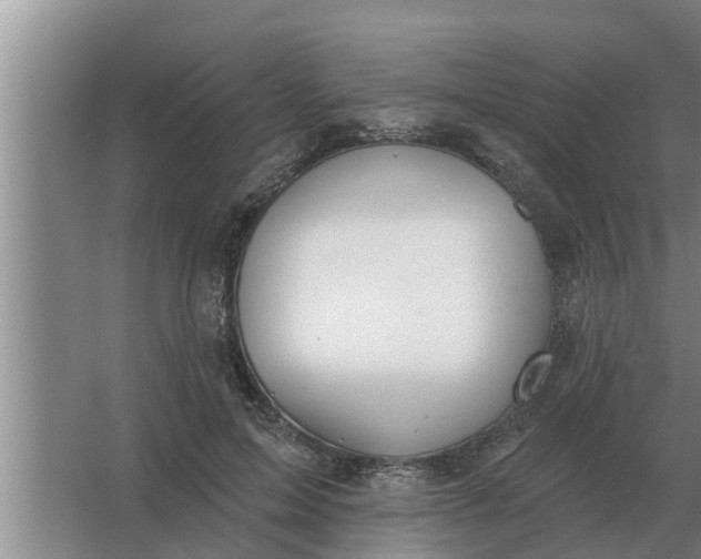 X0000063510599200602032045