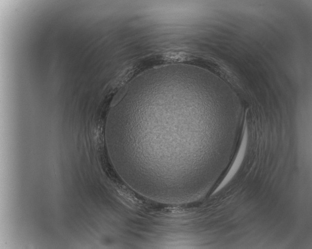 X0000063510601200602032045