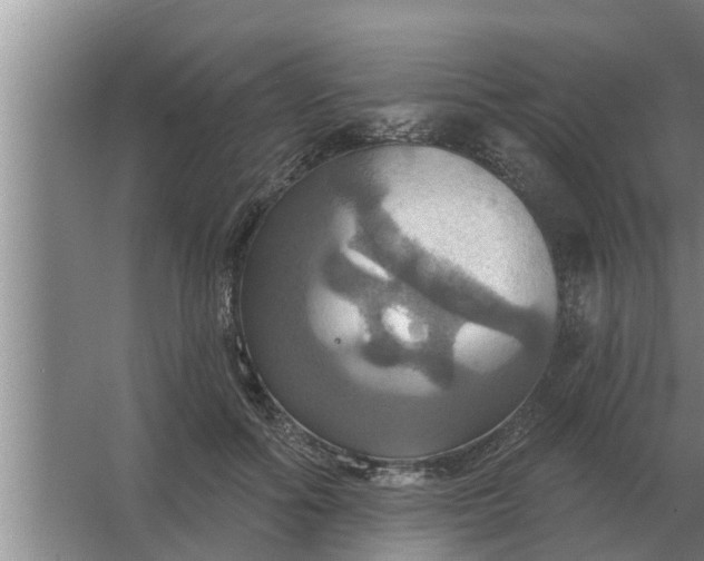 X0000063510602200602032045