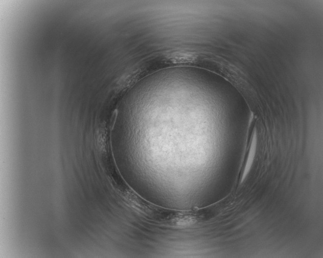 X0000063510604200602032045