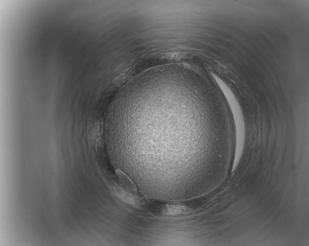 X0000063510605200602032045