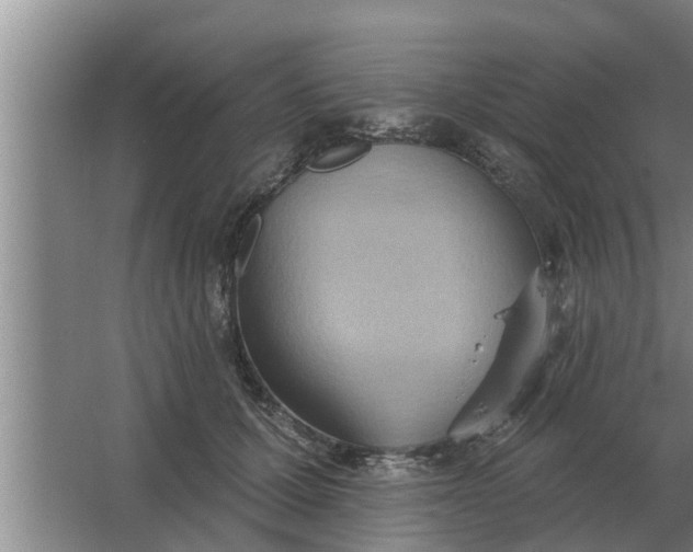 X0000063510607200602032045