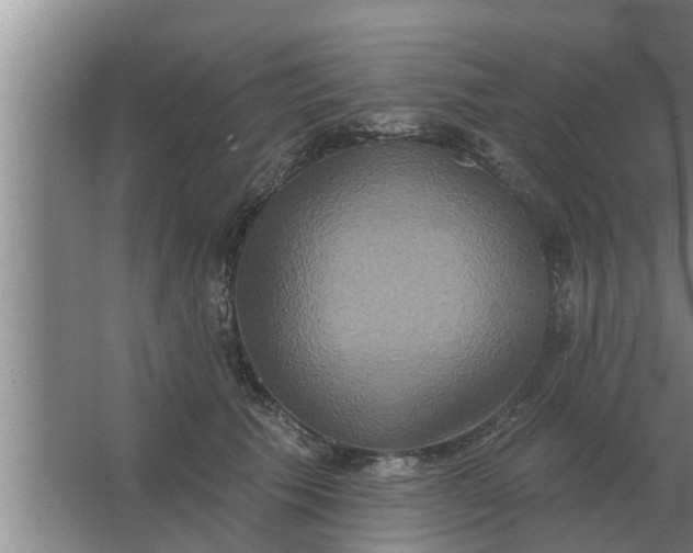 X0000063510609200602032045