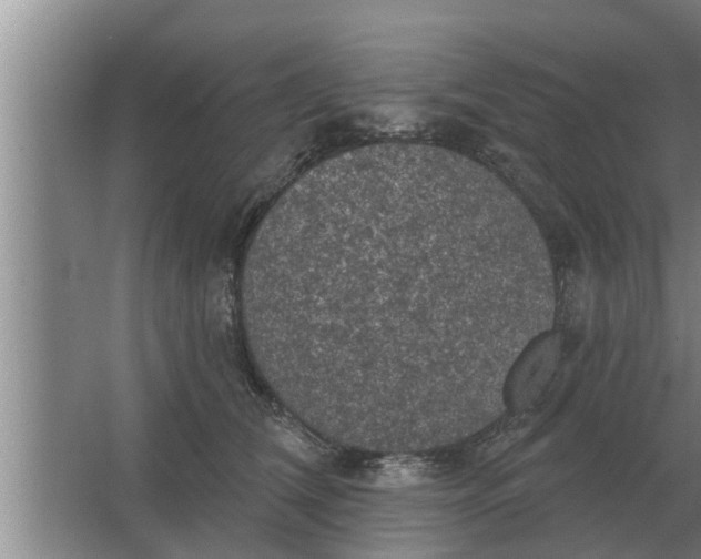 X0000063510612200602032045