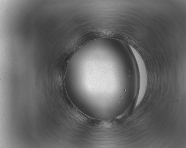 X0000063510613200602032045