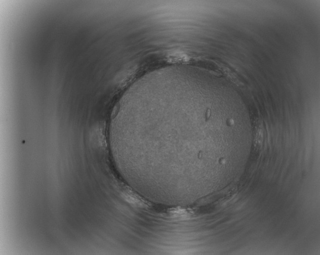 X0000063510616200602032045