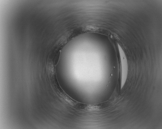 X0000063510617200602032045