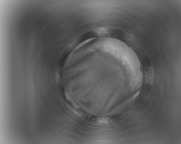 X0000063510618200602032045