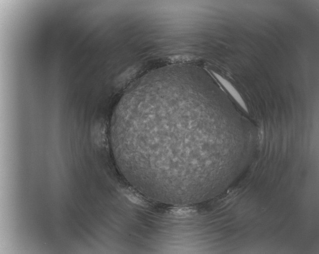 X0000063510619200602032045