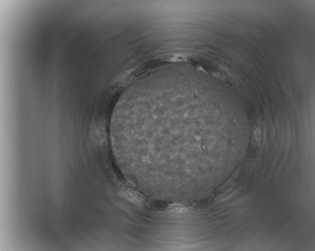 X0000063510620200602032045