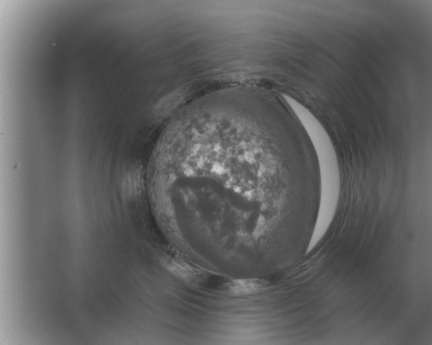 X0000063510623200602032045