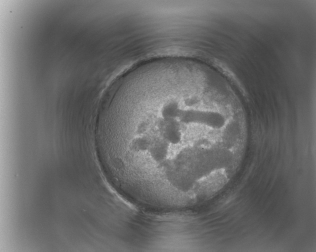 X0000063510625200602032044