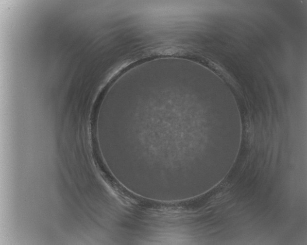 X0000063510626200602032044