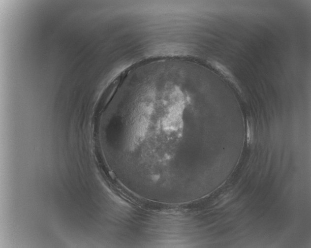 X0000063510627200602032044