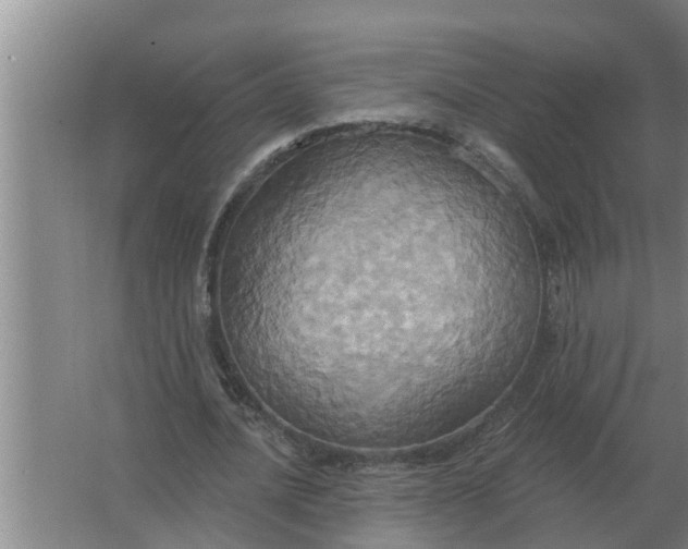 X0000063510628200602032044