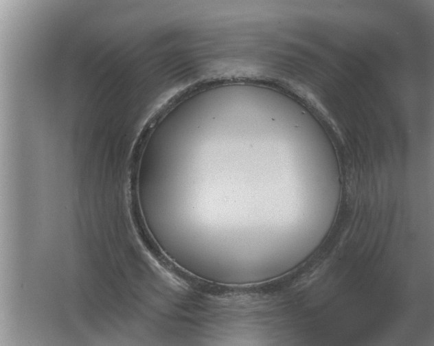 X0000063510629200602032044