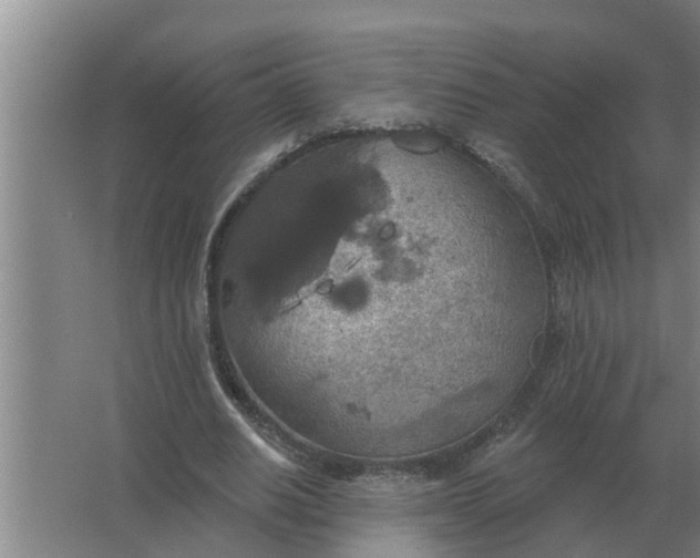 X0000063510630200602032044