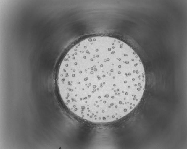 X0000063510632200602032044