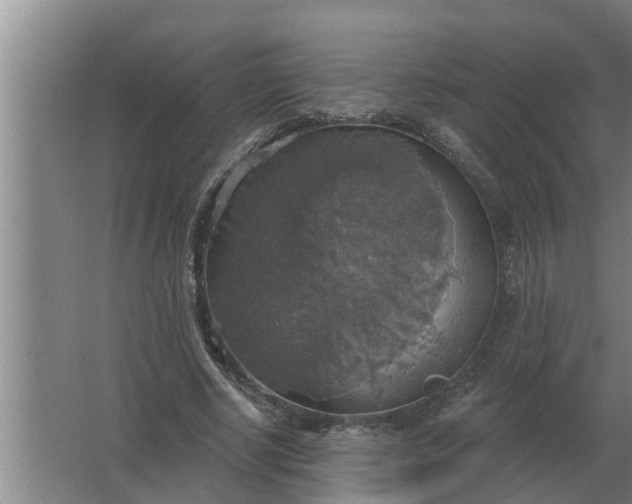 X0000063510634200602032044