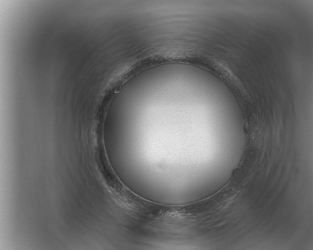 X0000063510635200602032044