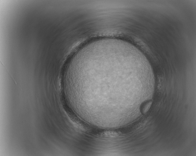 X0000063510636200602032044