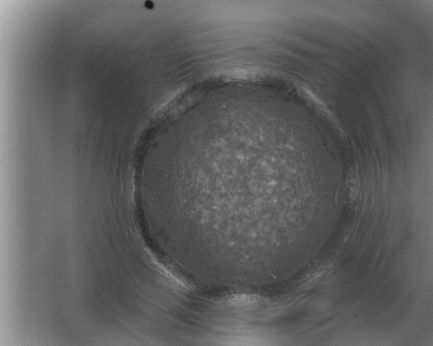 X0000063510637200602032044