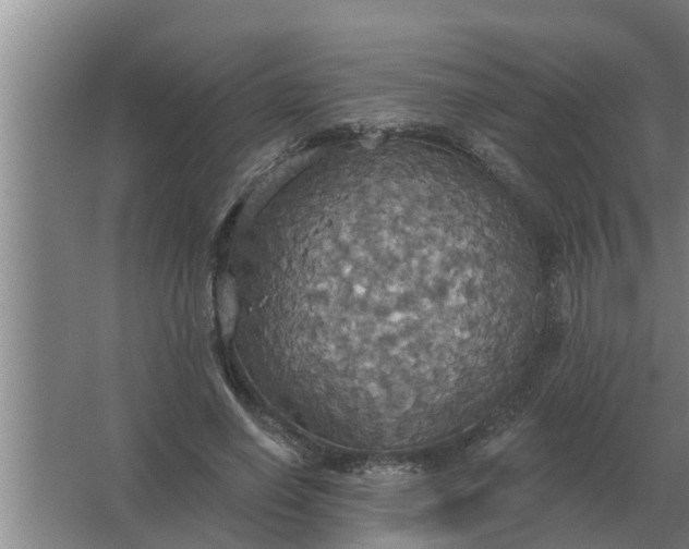 X0000063510638200602032044