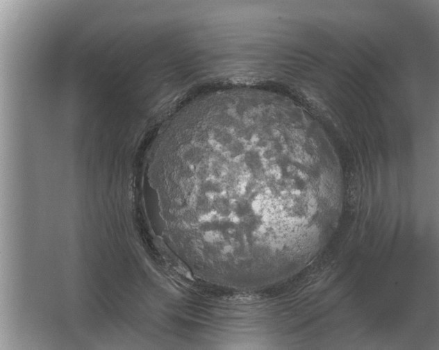 X0000063510639200602032044