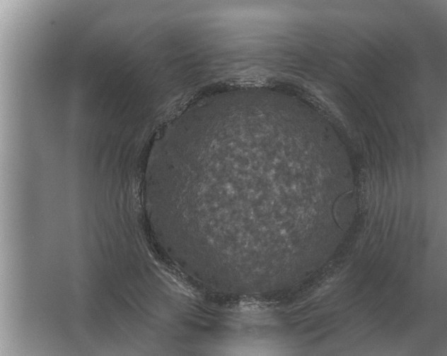 X0000063510641200602032044