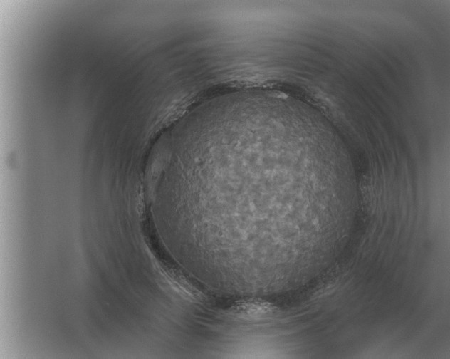 X0000063510642200602032044