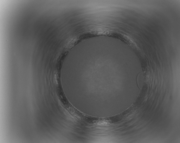 X0000063510643200602032044