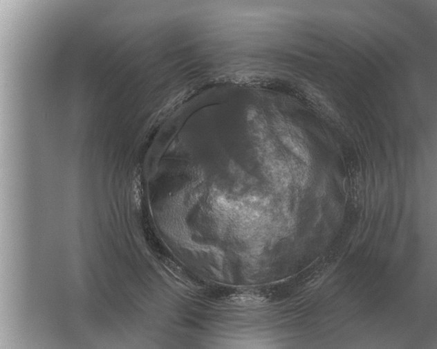 X0000063510644200602032044