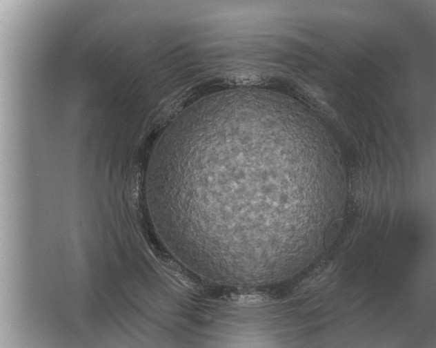 X0000063510645200602032044