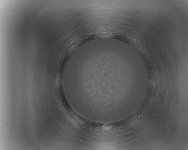 X0000063510647200602032044