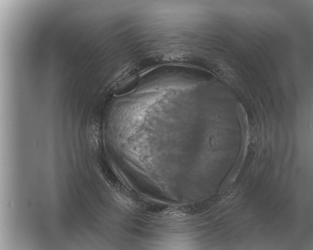 X0000063510648200602032044