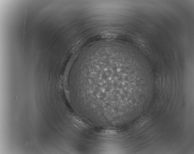 X0000063510649200602032044