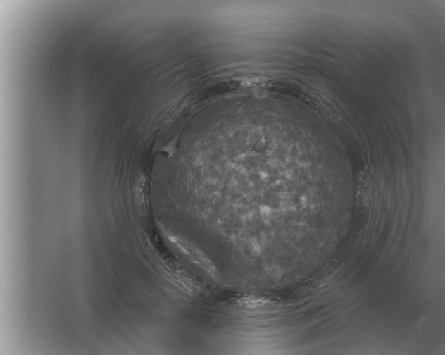 X0000063510650200602032044