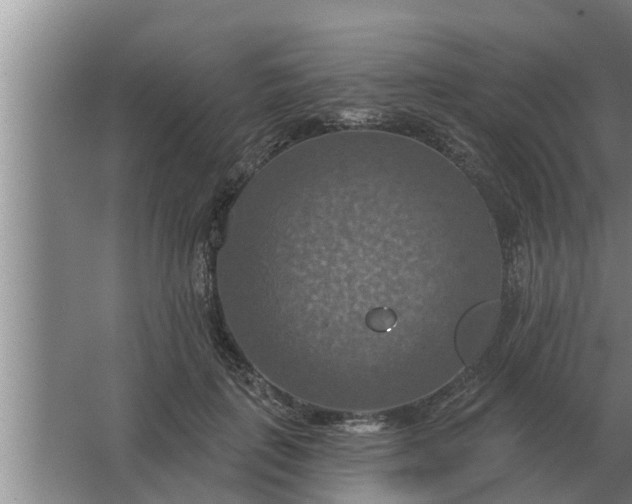 X0000063510651200602032044