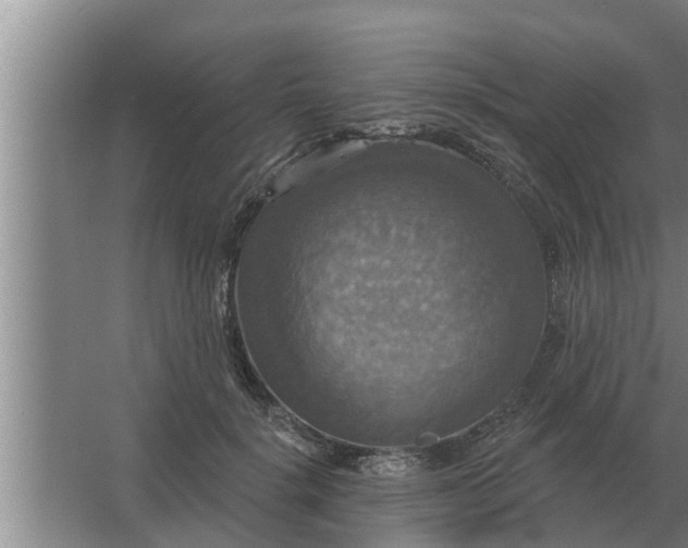 X0000063510652200602032044