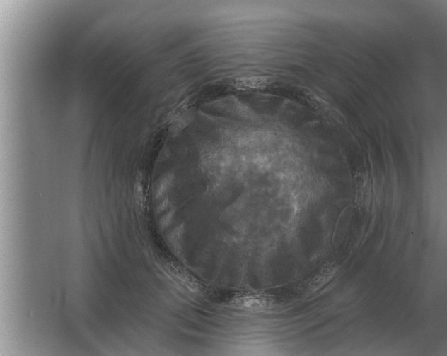 X0000063510655200602032044